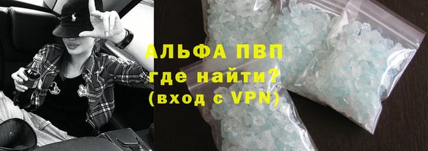 индика Аркадак