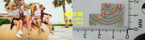 индика Аркадак