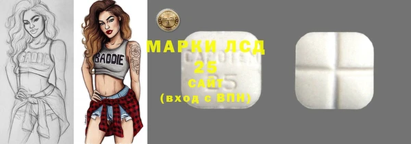 индика Аркадак