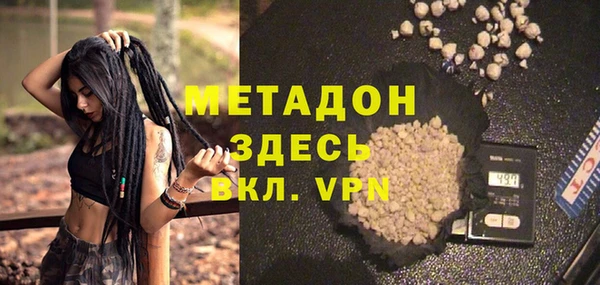 индика Аркадак