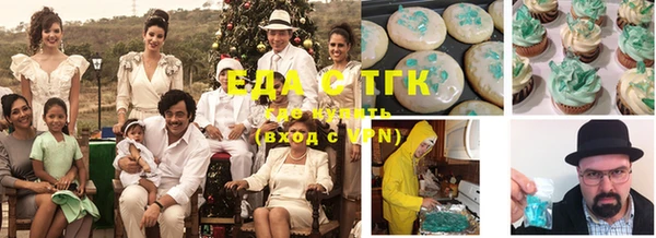 индика Аркадак