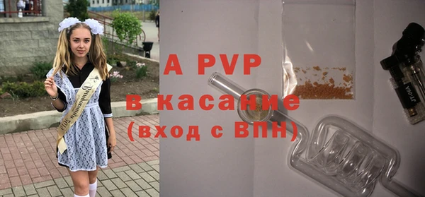 индика Аркадак